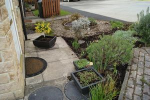Front Garden- click for photo gallery